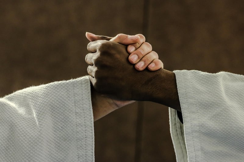 Judo Workout